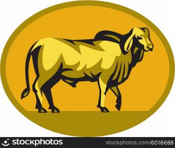 Illustration of a brahman bull looking front viewed from the side set inside oval shape on isolated background done in retro style. . Brahman Bull Oval Retro