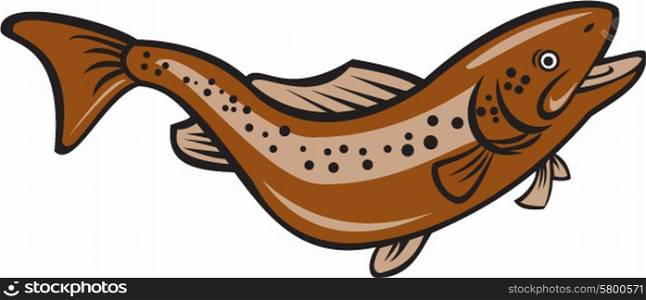 Illustration of a brown trout rainbow spotted fish jumping viewed from the side set on isolated white background done in cartoon style. . Brown Spotted Trout Jumping Cartoon