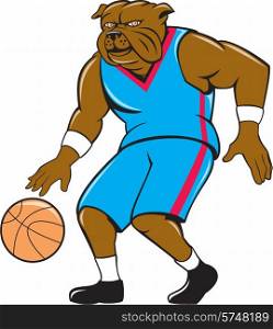 Illustration of a bulldog basketball player dribbling ball viewed from front set on isolated background done in cartoon style.. Bulldog Basketball Player Dribble Cartoon