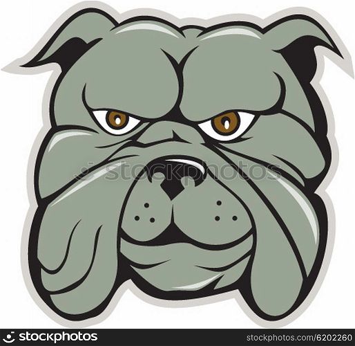 Illustration of a bulldog head viewed from front set on isolated white background done in cartoon style. . Bulldog Head Isolated Cartoon