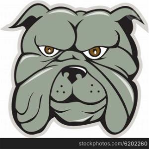 Illustration of a bulldog head viewed from front set on isolated white background done in cartoon style. . Bulldog Head Isolated Cartoon