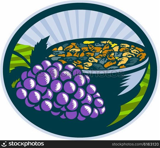 Illustration of a bunch of grapes and raisins in a bowl set inside oval shape with sunburst in the background done in retro woodcut style. . Grapes Raisins Bowl Oval Woodcut