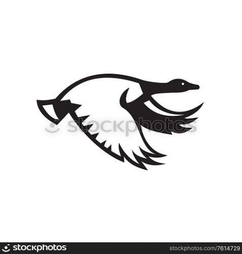 Illustration of a canada goose flying viewed from the side set on isolated white background done in retro Black and White style. . Canada Goose Flying Side View Retro Black and White