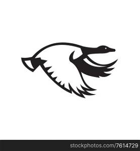 Illustration of a canada goose flying viewed from the side set on isolated white background done in retro Black and White style. . Canada Goose Flying Side View Retro Black and White