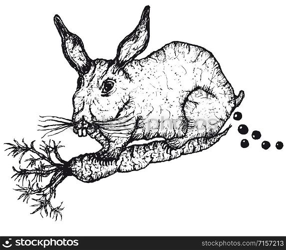 Illustration of a cartoon sketched rabbit eating a carrot and shitting around. Hand Drawn Rabbit Character