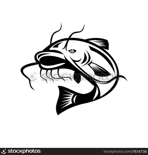 Illustration of a catfish jumping done in retro woodcut Black and White style on isolated background.. Catfish Jumping Retro Black and White