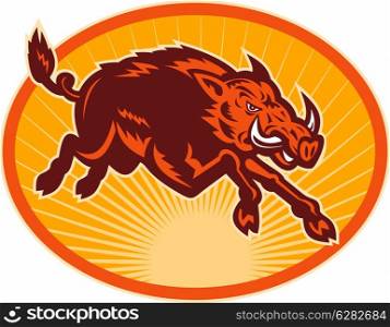 illustration of a Charging attacking razorback wild boar or pig set inside an oval.. Charging attacking razorback wild boar or pig