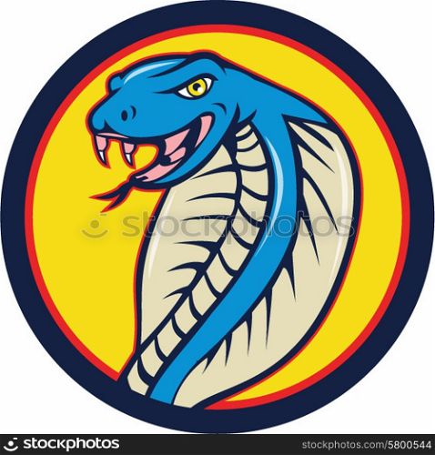 Illustration of a cobra viper snake serpent head with tongue out attacking set inside circle on isolated background done in cartoon style.