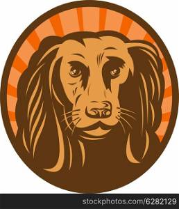 illustration of a Cocker spaniel head front view with sunburst in background set inside an oval. Cocker spaniel head front view with sunburst