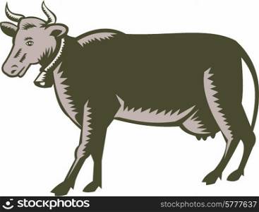 Illustration of a dairy cow bull viewed from the side set on isolated white background done in retro woodcut style. . Dairy Cow Side View Woodcut