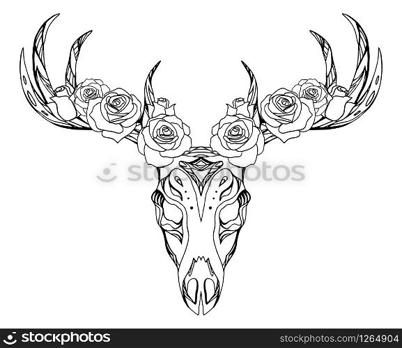 Illustration of a deer skull with roses and boho pattern. Vector element for tattoo sketch, printing on T-shirts, postcards and your creativity. Illustration of a deer skull with roses and boho pattern. Vector