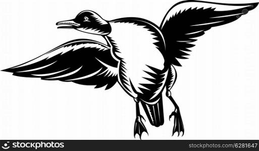 illustration of a duck flying done in woodcut style on isolated background. duck flying done in woodcut style