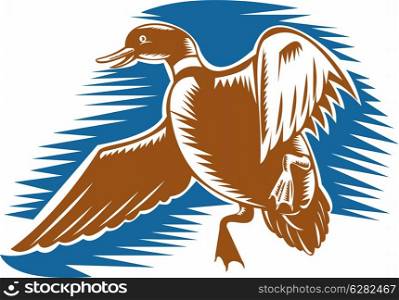 illustration of a duck flying done in woodcut style on isolated background. duck flying done in woodcut style