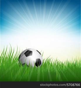 Illustration of a football or soccer ball nestled in grass