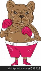 Illustration of a french bulldog boxer in a boxing stance viewed from front set on isolated white background done in cartoon style. . French Bulldog Boxer Boxing Stance Cartoon