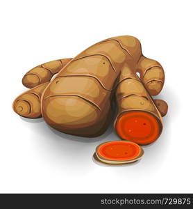 Illustration of a fresh healthy appetizing curcuma or turmeric root with slices. Curcuma Root With Slices Cut
