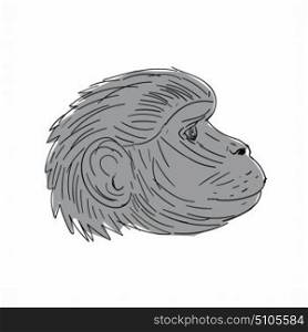 Illustration of a Gelada Monkey Head Side view done in Drawing sketch style.. Gelada Monkey Head Side Drawing