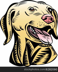 illustration of a golden labrador retriever dog head done in retro woodcut style.. golden labrador retriever dog head