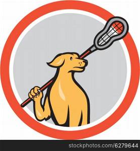 Illustration of a golden retriver dog lacrosse player holding a crosse or lacrosse stick viewed from front set inside circle done in cartoon style.. Dog Lacrosse Player Crosse Stick Cartoon Circle