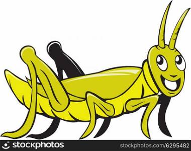 Illustration of a grasshopper crawling viewed from the side set on isolated white background done in cartoon style. . Grasshopper Crawling Side Cartoon