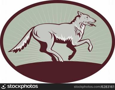 illustration of a Gray wolf running side view. Gray wolf running