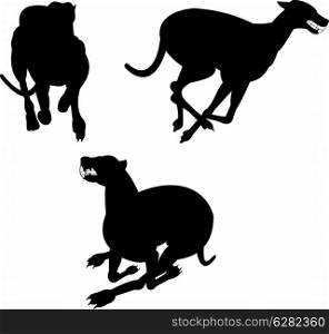 illustration of a greyhound dog racing silhouette on isolated white background. greyhound dog racing