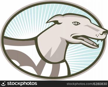 Illustration of a greyhound dog side view set inside oval done in retro style.