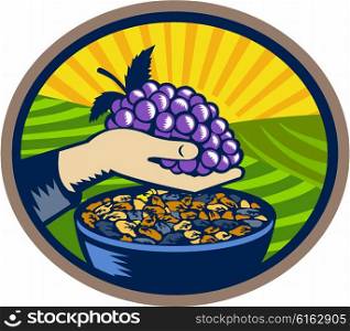 Illustration of a hand holding grapes with raisins in a bowl set inside oval shape with sunburst in the background done in retro woodcut style. . Hand Holding Grapes Raisins Oval Woodcut