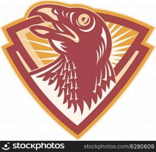 Illustration of a hawk falcon head looking up set inside shield on isolated white background done in retro style.