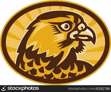 illustration of a Hawk or falcon looking to side done in retro style.. Peregrine falcon side view