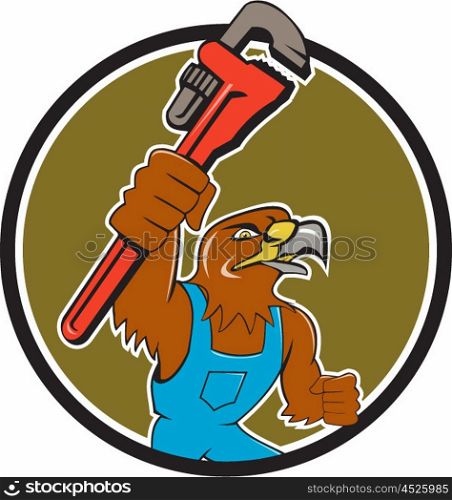 Illustration of a hawk plumber holding wrench spanner set inside circle on isolated background done in cartoon style.