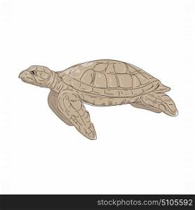 Illustration of a Hawksbill Sea Turtle swimming viewed from Side done in hand sketch Drawing style.. Hawksbill Sea Turtle Side Drawing