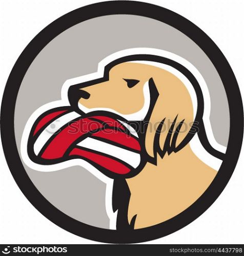 Illustration of a head of an english setter dog holding biting deflated volleyball viewed from the side set inside circle done in retro style.