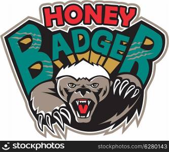 Illustration of a honey badger (Mellivora capensis) mascot also known as ratel head facing front attacking with claws and paw and text on isolated white background.. Honey Badger Mascot Front