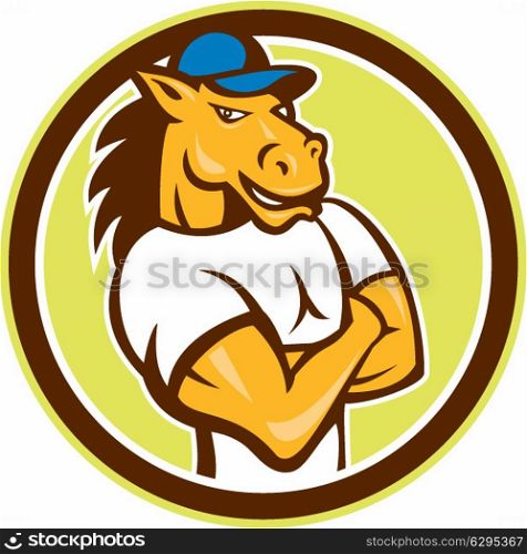 Illustration of a horse arms crossed set inside circle on isolated background done in cartoon style. . Horse Arms Crossed Circle Cartoon