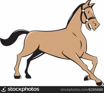 Illustration of a horse kneeling down viewed from the side set on isolated white background done in cartoon style. . Horse Kneeling Down Cartoon