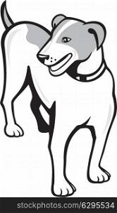 Illustration of a jack russell terrier dog standing looking to the side set on isolated white background done in cartoon style.