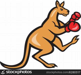 Illustration of a kangaroo kick boxer boxing with boxing gloves viewed from side on isolated background done in cartoon style.. Kangaroo Kick Boxer Boxing Cartoon