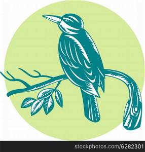 Illustration of a kingfisher bird perch on branch retro woodcut style.