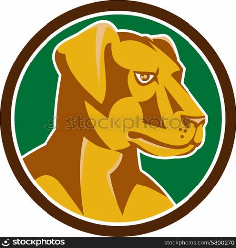 Illustration of a labrador golden retriever dog head viewed from the side set inside circle on isolated background done in retro style.
