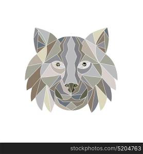 Illustration of a Lynx Cat wild cat Head viewed from front done in Low Polygon style.. Lynx Cat Head Low Polygon