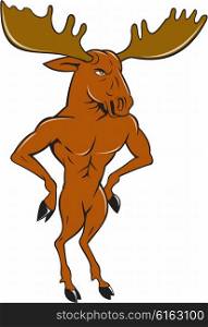 Illustration of a moose standing hands akimbo on hips looking to the side set on isolated white background done in cartoon style. . Moose Standing Hands Akimbo Cartoon