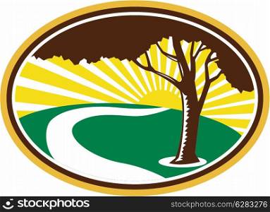Illustration of a pecan tree silhouette with winding river stream and sunburst in background don ein retro style.