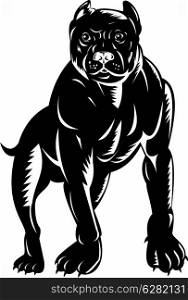 illustration of a pitbull dog done in retro woodcut style.. pitbull dog