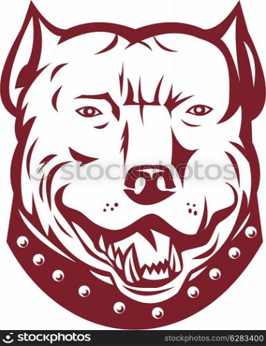 illustration of a pitbull pit bull terrier mongrel dog head facing front on isolated white background&#xA;