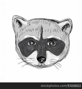 Illustration of a Raccoon Head Front view done in hand sketch Drawing style.. Raccoon Head Front Drawing