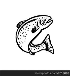 Illustration of a rainbow trout fish jumping up on isolated white background done in retro black and white style. Rainbow Trout Jumping Up Retro Black and White