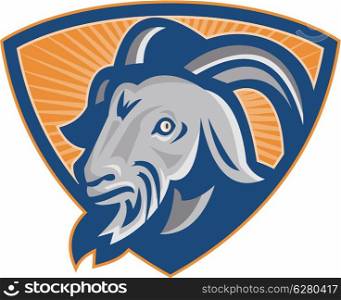 Illustration of a ram mountain goat head facing front set inside shield done in retro style.