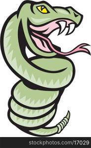 Illustration of a rattle snake viper serpent coiling up on isolated white background done in cartoon style.. Rattle Snake Coiling Up Cartoon