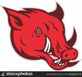 illustration of a razorback wild pig hog boar head with big tusk facing side on isolated white background&#xA;&#xA;&#xA;